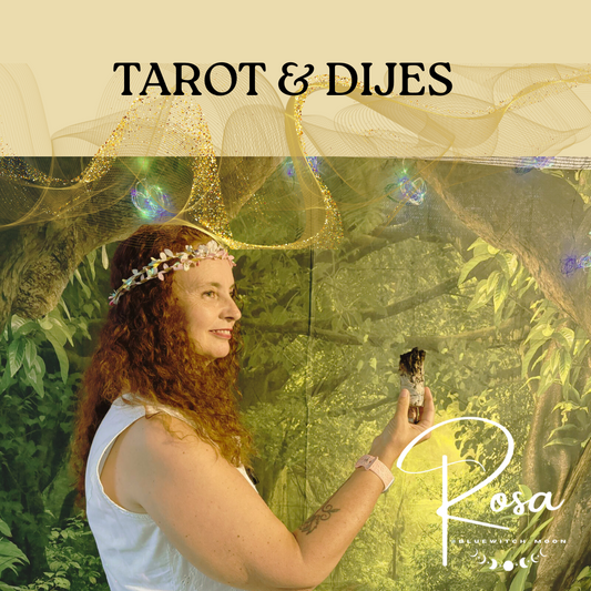 Consulta WhatsApp – Rosa (Bluewitch Moon)