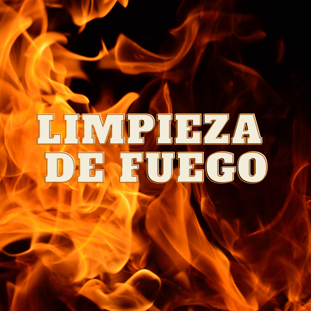 LIMPIEZA DE FUEGO VIKTOR PAU